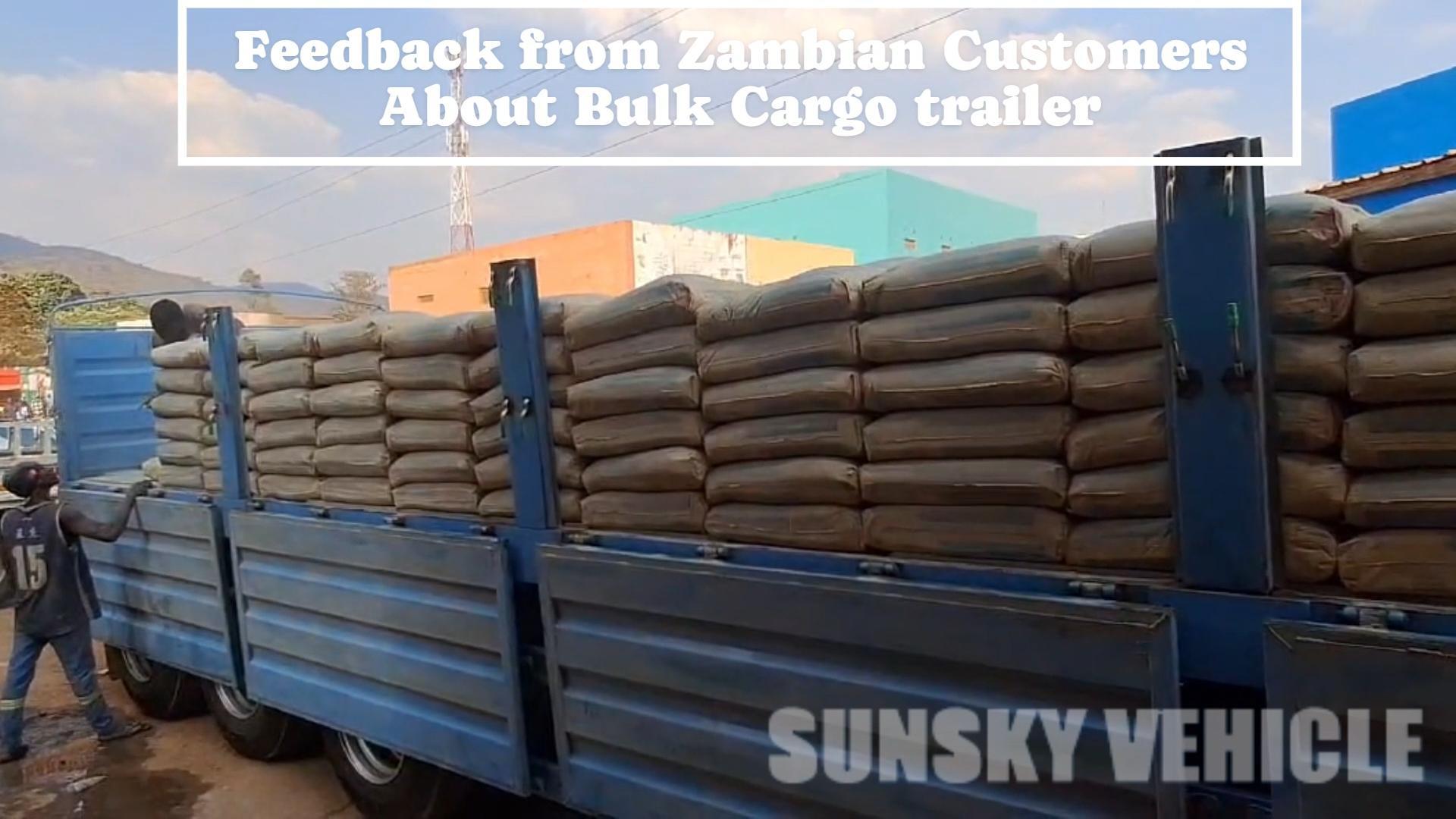 Feedback from Zambian Customers About Dropside Trailer