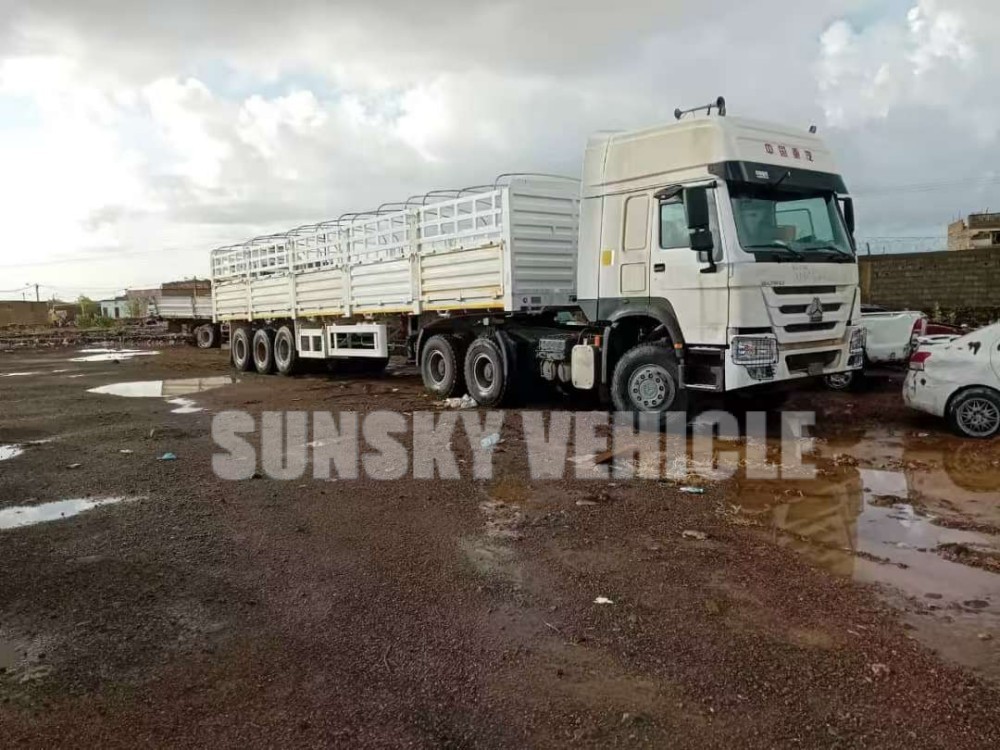 Customer Feedback from Djibouti on Fence Semi-Trailer